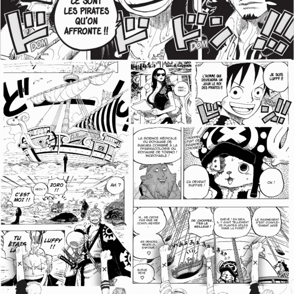 Fresque manga One Piece noir et blanc sur mesure 110 × 240 cm